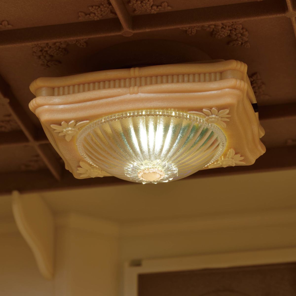 Ceiling Light